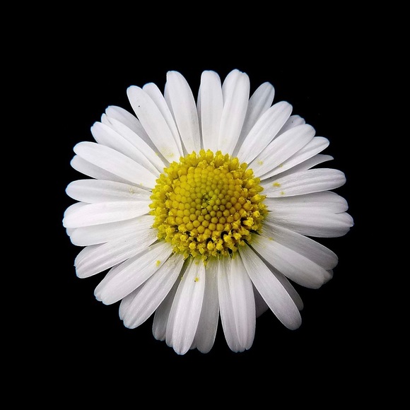 About me - Picture 1 of 1